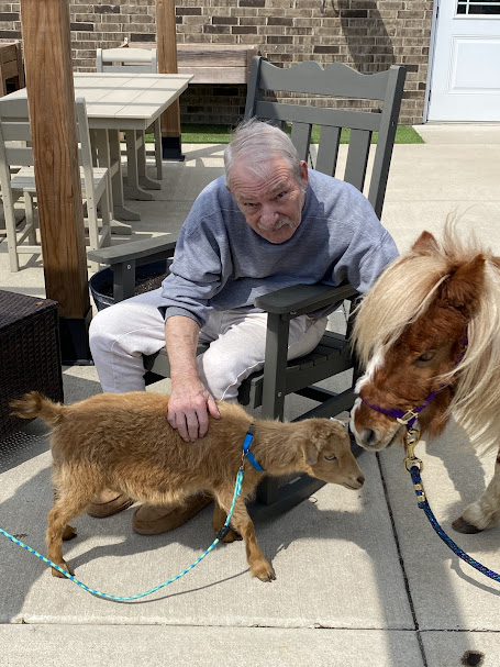 Is a pet therapy community right for your family